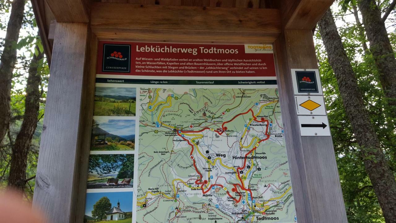 Ferienwohnung Im Schwarzwald Todtmoos Exterior photo