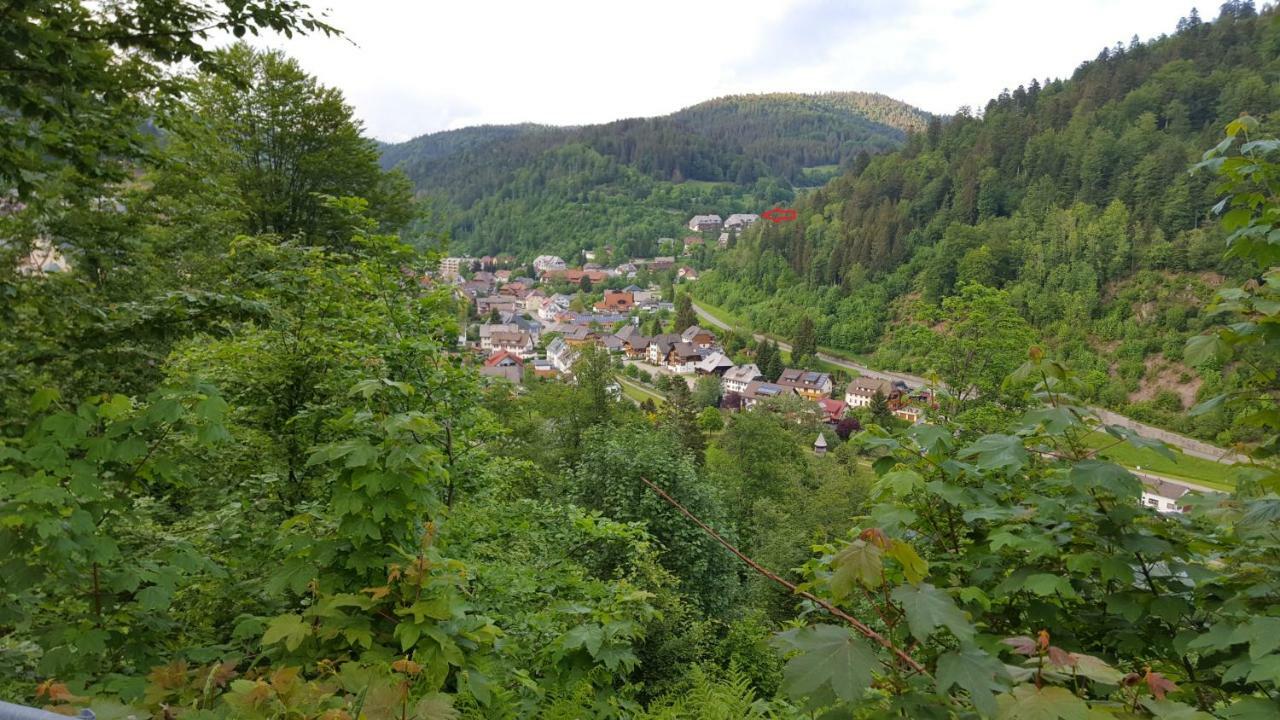 Ferienwohnung Im Schwarzwald Todtmoos Exterior photo